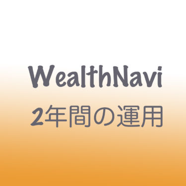 ＜WealthNavi＞利益は出る！？サラリーマン小遣いの２年間の運用実績(月１万)
